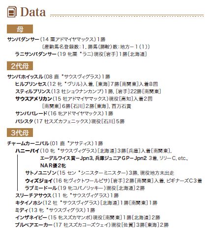 ブラックタイプ