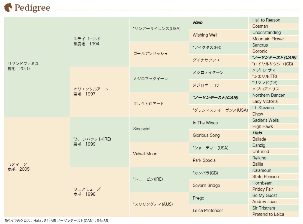 血統表