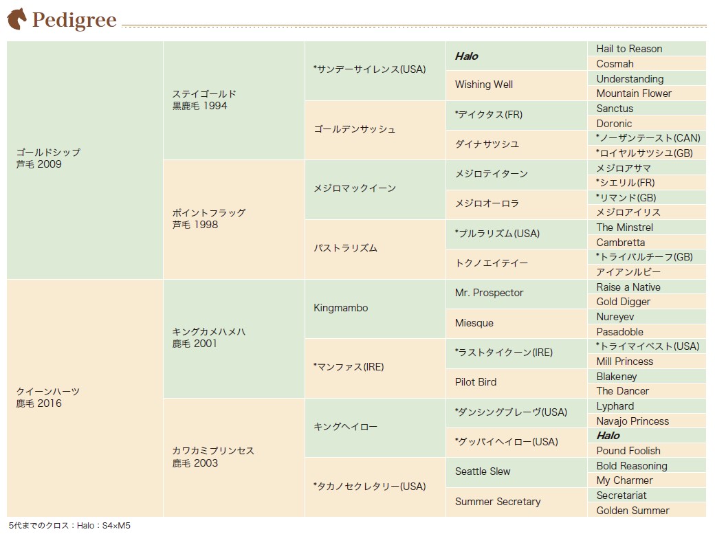 血統表