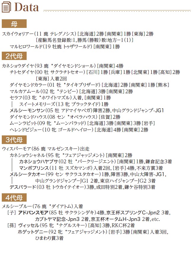ブラックタイプ