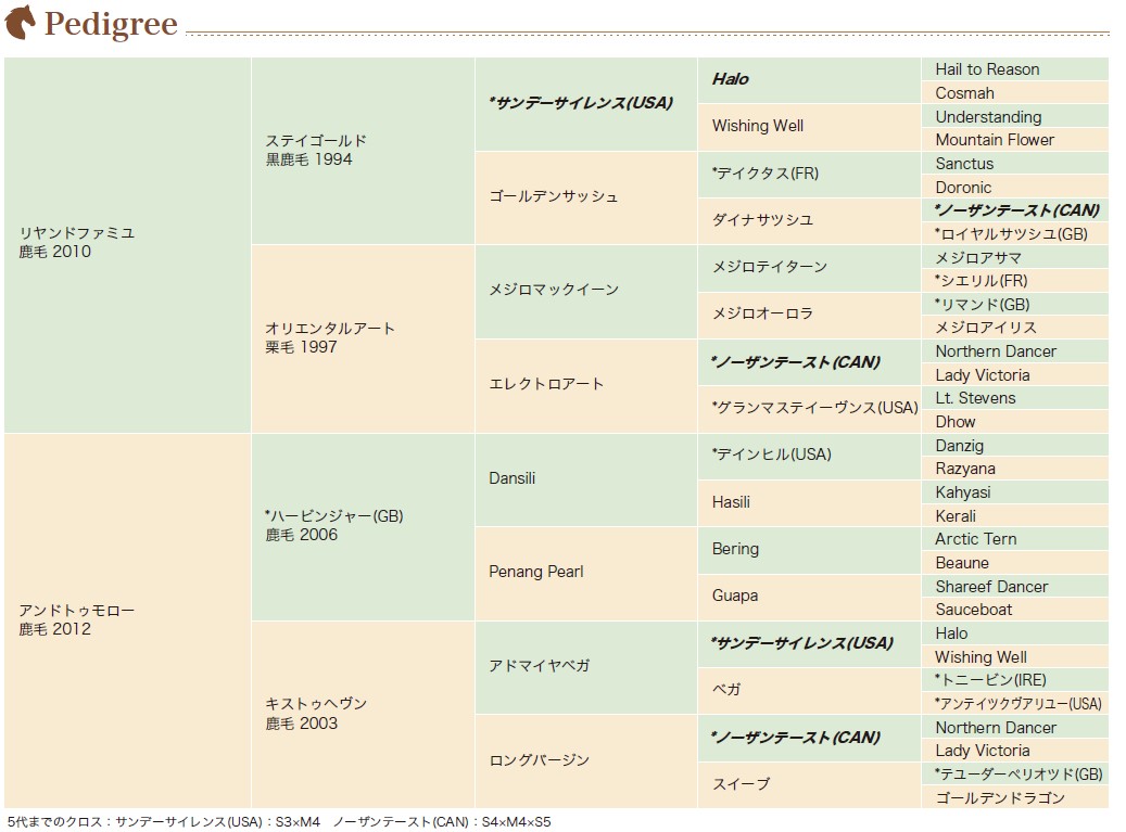 血統表