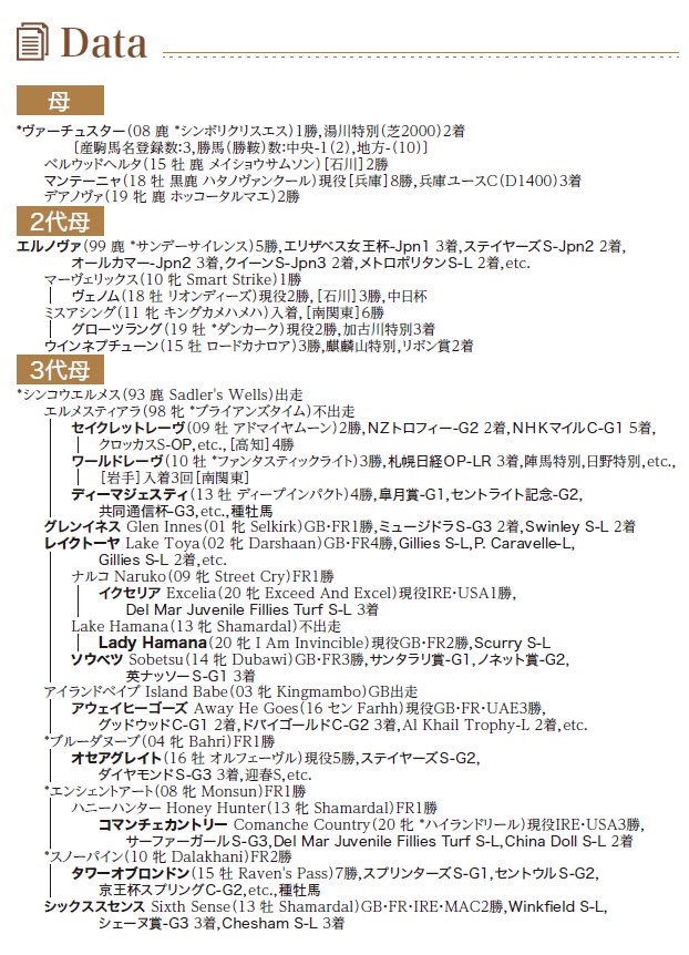 ブラックタイプ
