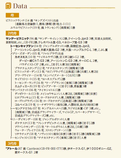 ブラックタイプ
