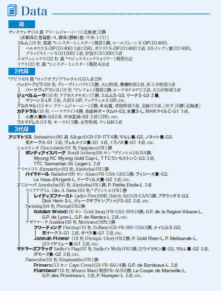 ブラックタイプ